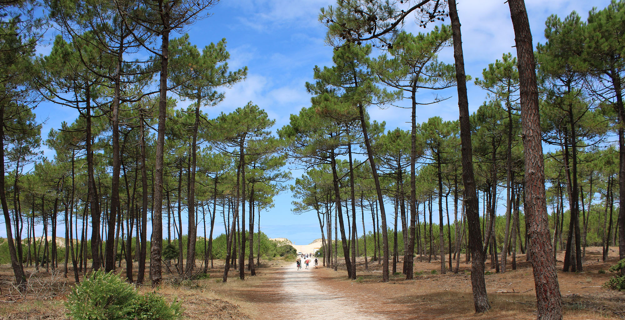 La bouverie ©Sand Zoller